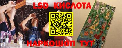эйфоретик Будённовск