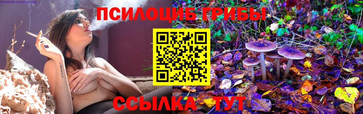 Псилоцибиновые грибы Magic Shrooms  где купить   Нерюнгри  Вход с VPN  Галлюциногенные грибы GOLDEN TEACHER 