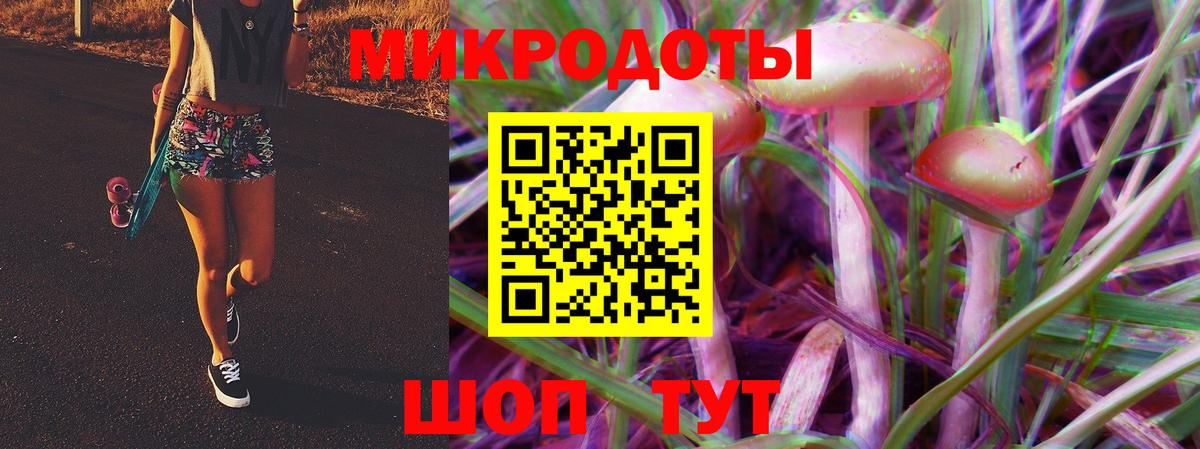 Псилоцибиновые грибы Cubensis Нерюнгри